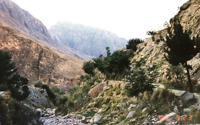 Gilgit (9) (ギルギット)