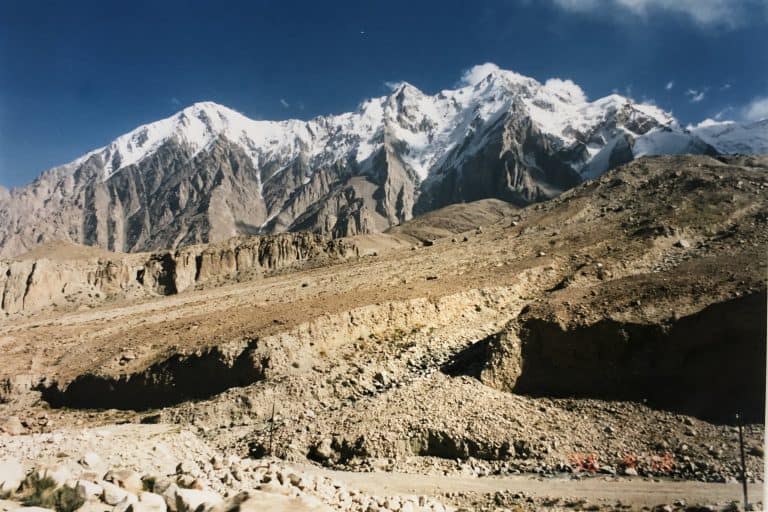 Karakul (12) (karakul)