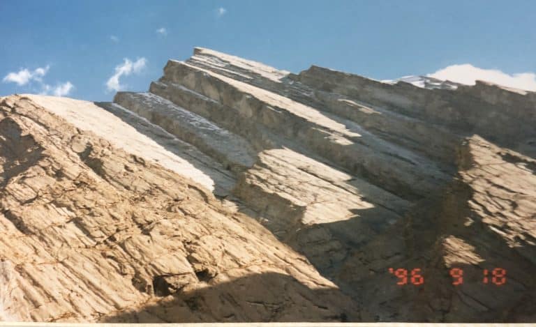 Karakul (13) (karakul)