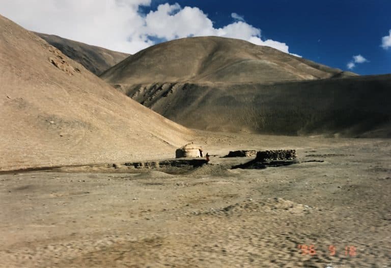 Karakul (15) (karakul)