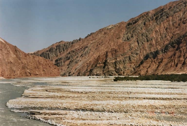 Karakul (3) (karakul)