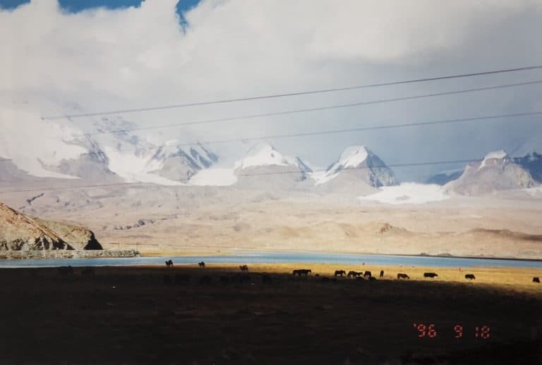 Karakul (30) (karakul)