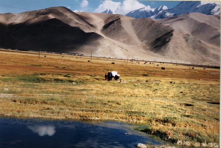 Karakul (31) (karakul)
