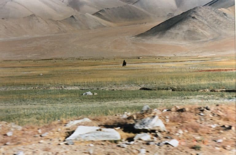 Karakul (33) (karakul)