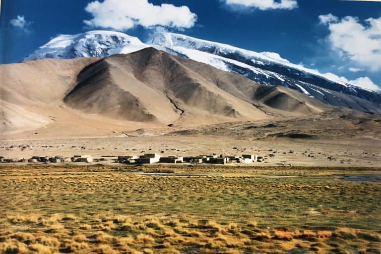 Karakul (34) (karakul)