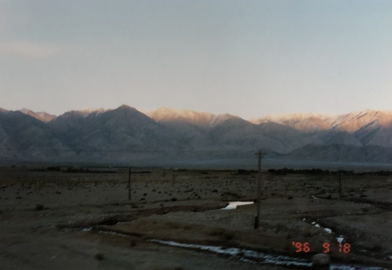 Karakul (35) (karakul)