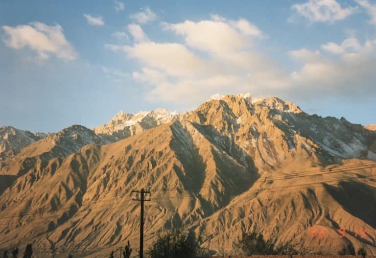 Karakul (37) (karakul)