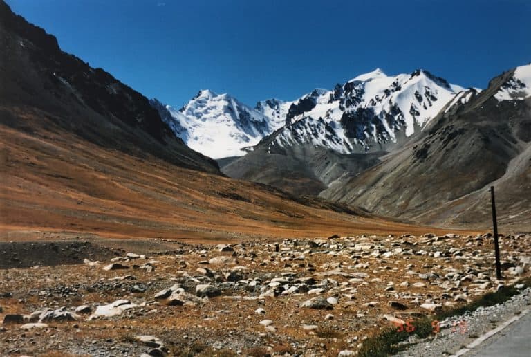 Karakul (40) (karakul)