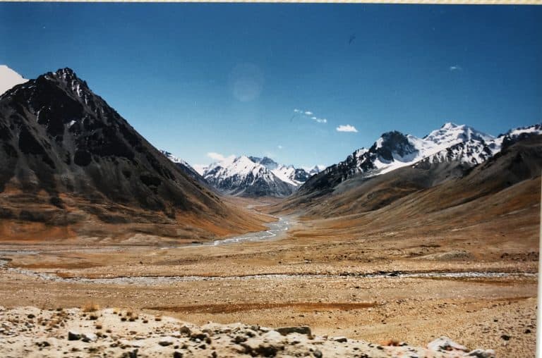 Karakul (42) (karakul)