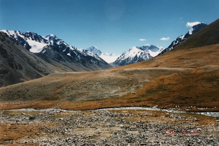 Karakul (43) (karakul)