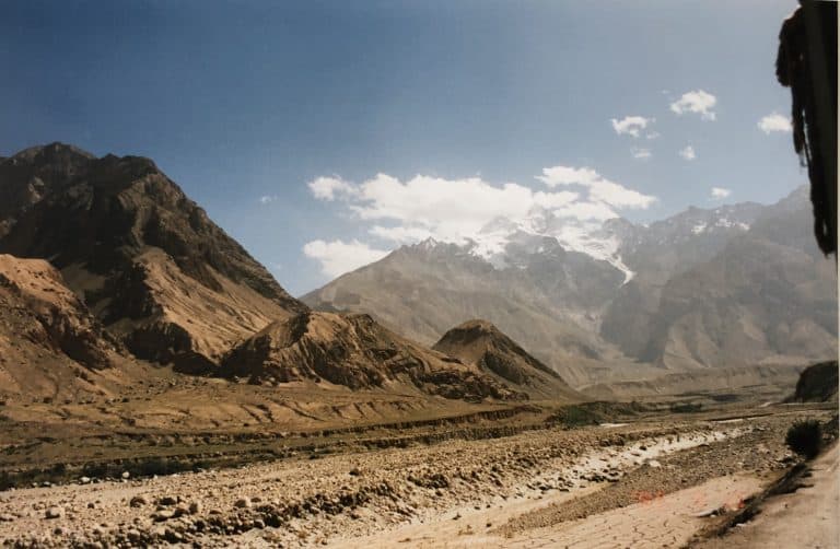 Karakul (8) (karakul)