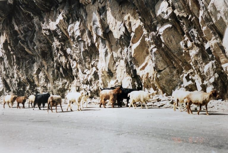 Karimabad (25) (Karimabad)