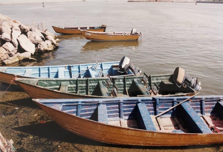 Anzali and vicinity (14) (Bandar-e Anzali)