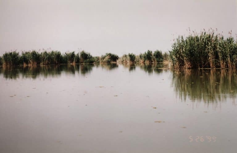 Anzali and vicinity (19) (Bandar-e Anzali)