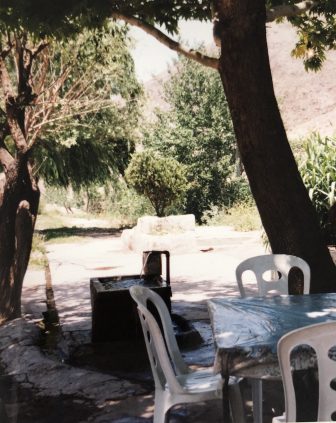 Iran-from Tehran to Bandar e Anzali-table-under the tree-lunch