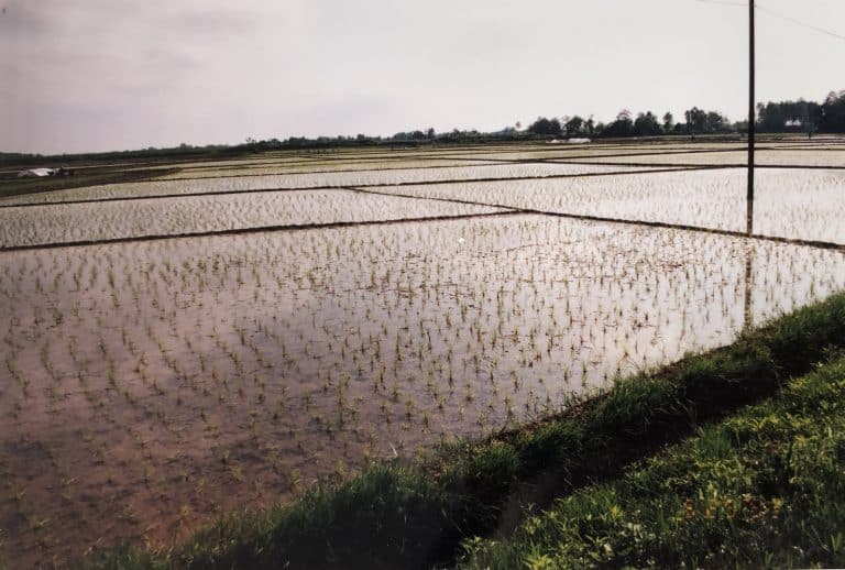 Anzali and vicinity (8) (バンダレ・アンザリ―)