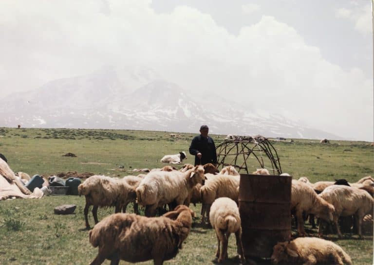 Fortaleciendo nuestra relación con la gente Shahasavan, al norte de Irán