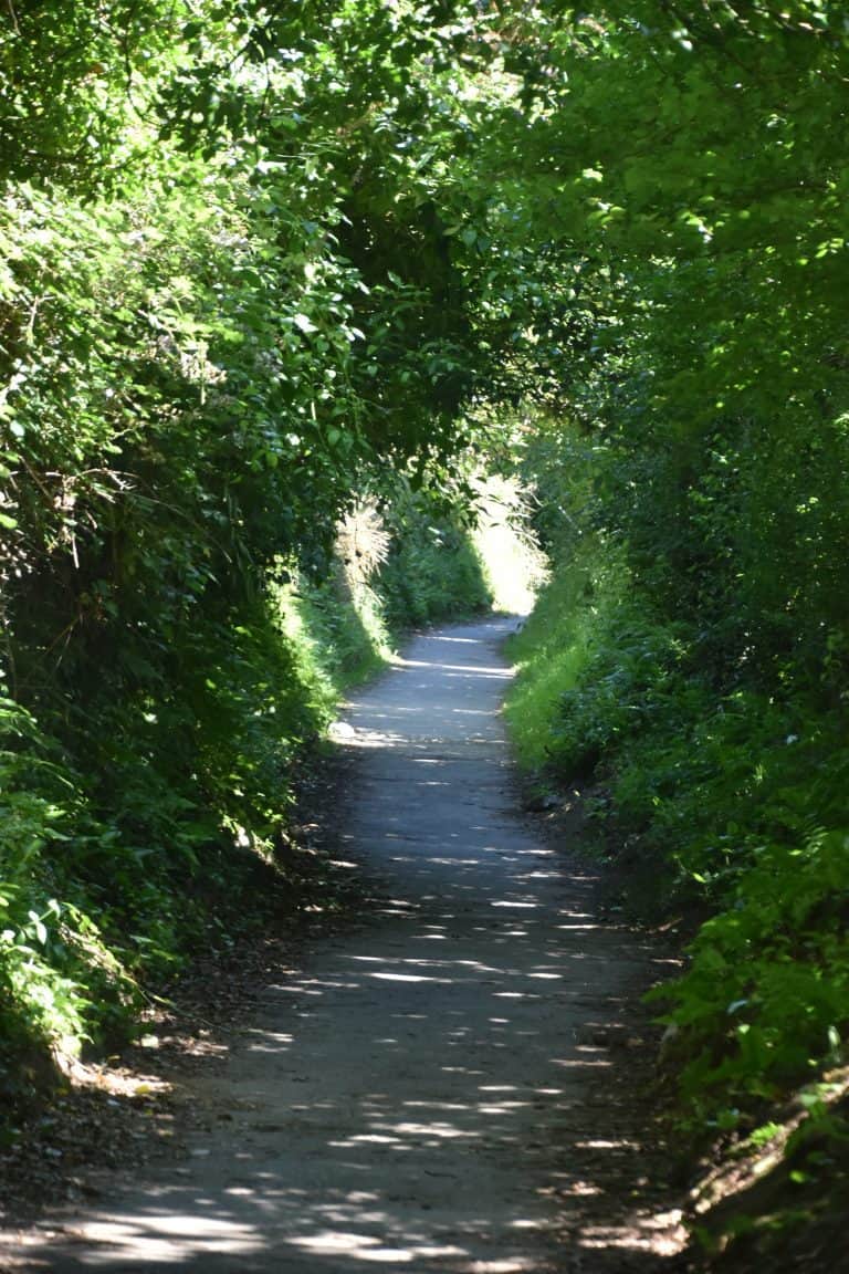 Looe (128) (Looe)