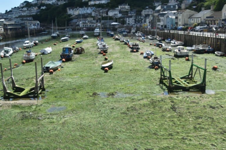 Looe (138) (Looe)