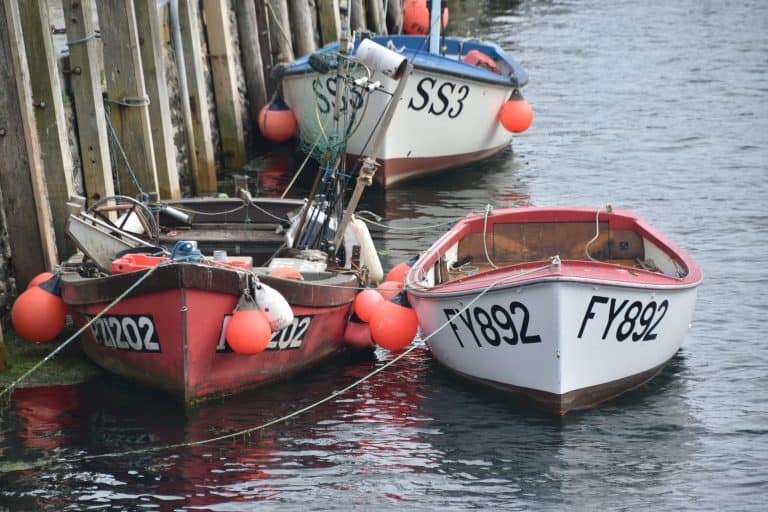 Looe (14) (Looe)