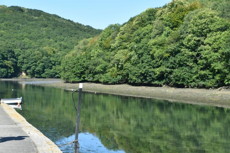 Looe (154) (Looe)