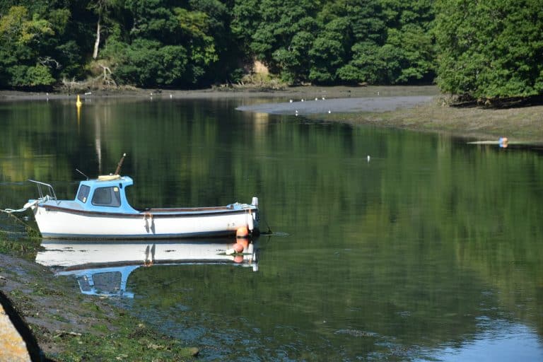 Corte de pelo en Looe y algo sobre las gaviotas