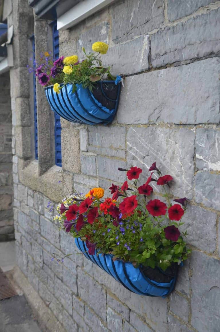 Looe (44) (Looe)