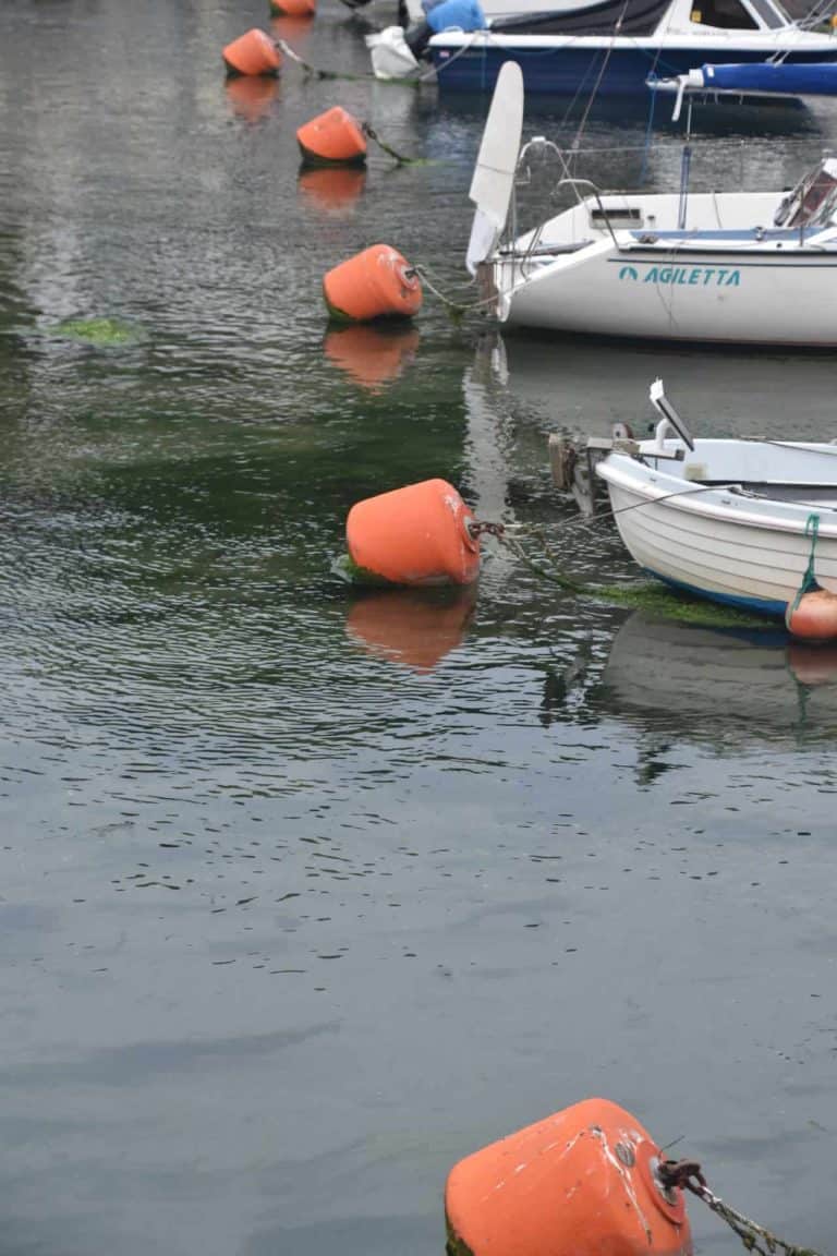 Looe (46) (Looe)