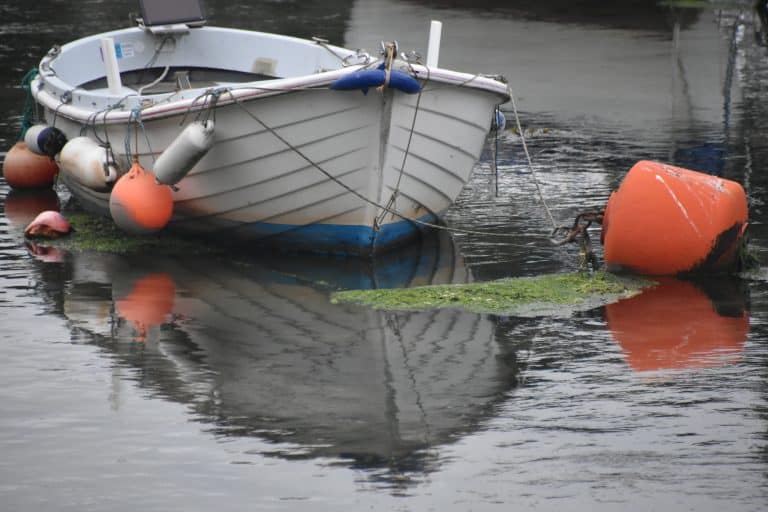 Looe (48) (Looe)