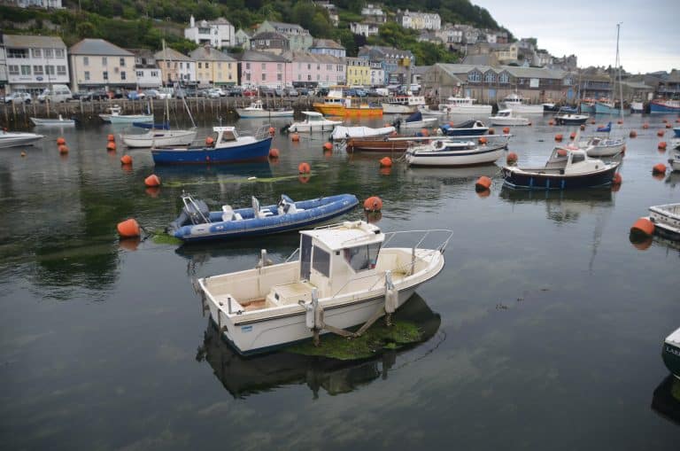 Looe (50) (Looe)