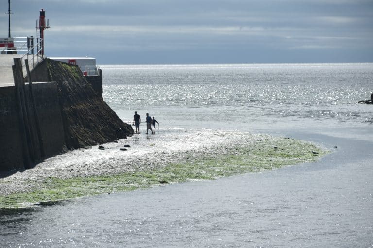 Looe (57) (Looe)