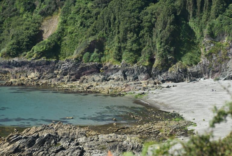 Looe (71) (Looe)