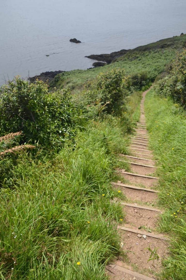 Looe-Inglaterra-Naturaleza