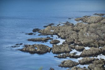 England-Cornwall-between Looe and Polperro-sea-rocks