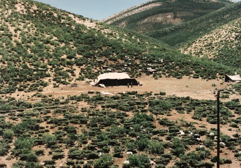 Marboreh (24) (Daran)