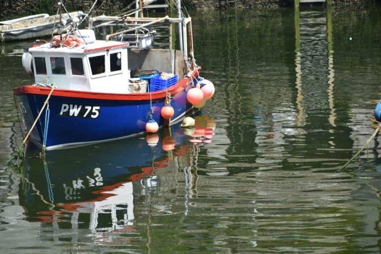 Polperro (11) (Looe)