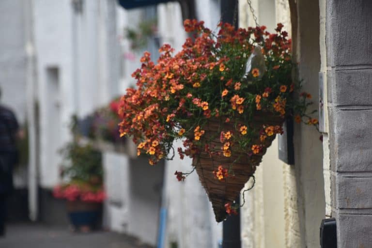 Polperro (6) (Looe)