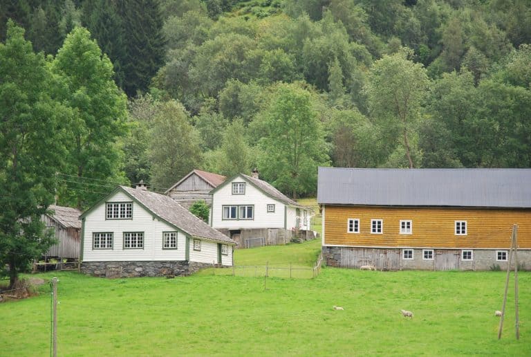 Bergen (63) (ベルゲン)