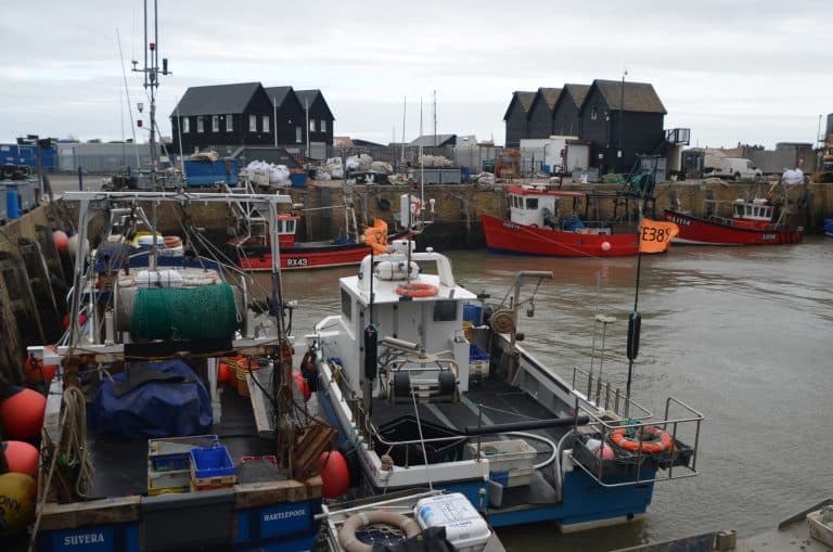 Whitstable 2020 (1) (ウィッツタブル)