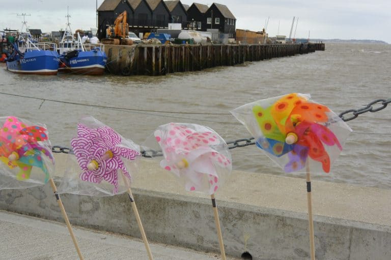 Whitstable 2020 (15) (Whitstable)