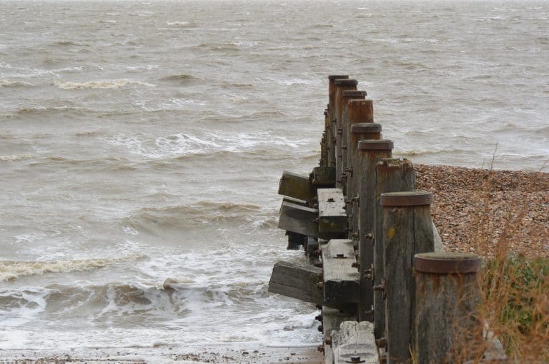 Whitstable 2020 (18) (Whitstable)