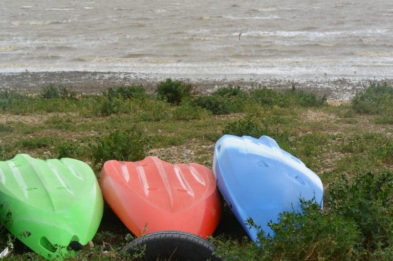 Whitstable 2020 (20) (Whitstable)