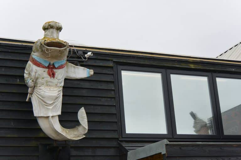 Whitstable 2020 (36) (ウィッツタブル)