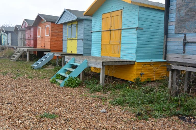 Whitstable 2020 (44) (ウィッツタブル)