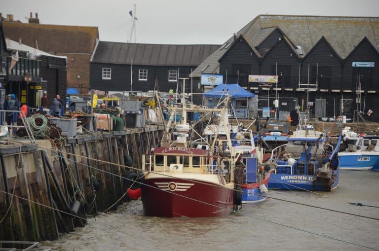 went to Whitstable to eat oysters