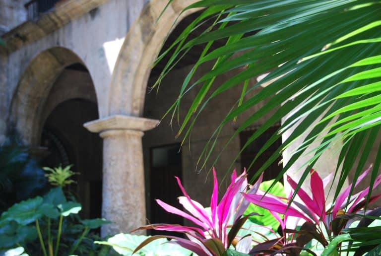 Havana (20) (Havana)