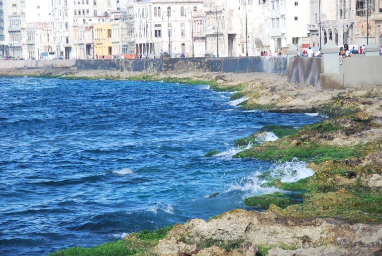 Havana (79) (Havana)