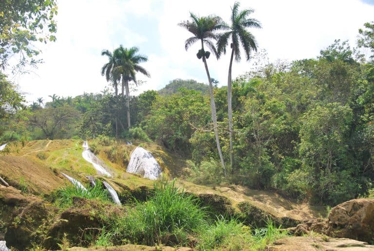Topes de Collantes (24) (トペス・デ・コランテス)