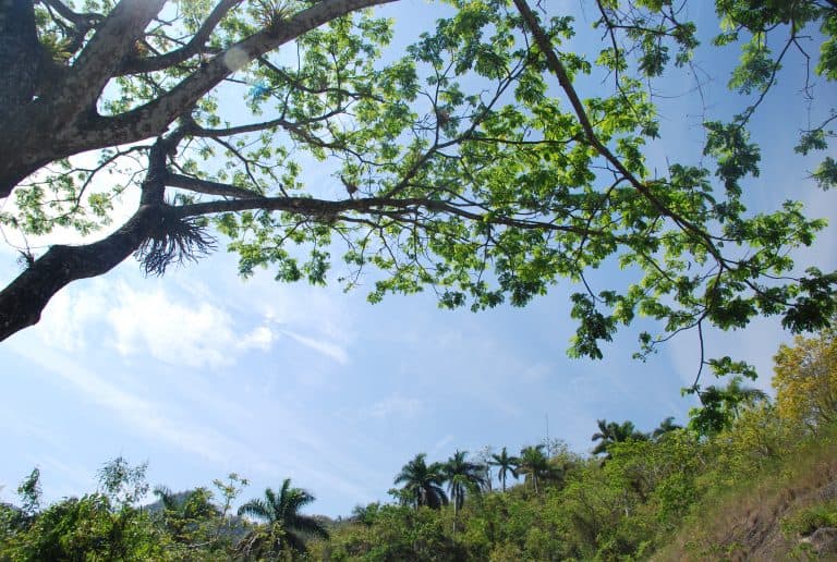 Topes de Collantes (7) (Topes de Collantes)