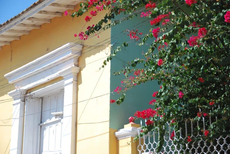 Trinidad (11) (Trinidad)